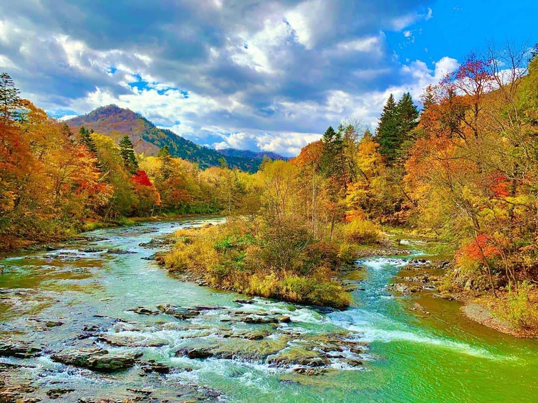 秋丸美帆さんのインスタグラム写真 - (秋丸美帆Instagram)「秋の北海道🍁  #hokkaido #river #nature #japan #naturephotography #trip #北海道 #旅行 #北海道旅行 #三段滝 #紅葉 #自然 #旅 #旅行 #女子旅 #厚別 #芦別」10月21日 19時08分 - mippy34