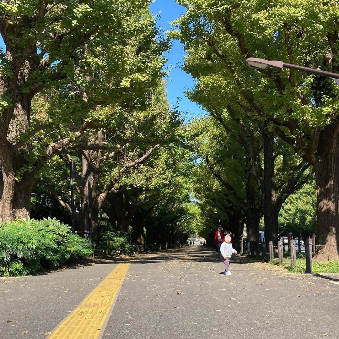 中村歌昇 さんのインスタグラム写真 - (中村歌昇 Instagram)「影。 そしてアディダス。 #からの見返り #baby #おとうと #歩くの好き #兄弟全然違う #adidas」10月21日 19時19分 - kasho_nakamura
