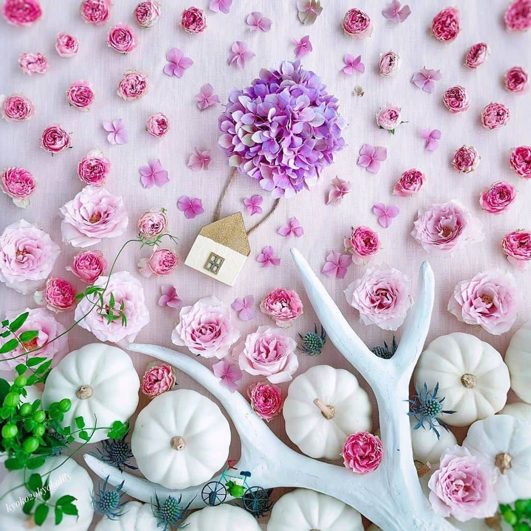 花の写真館のインスタグラム：「Photo by @kyoko29kyokolily.⠀ https://instagram.com/kyoko29kyokolily/⠀ .⠀ Original Post[投稿いただいたURL]⠀ https://www.instagram.com/p/CFzQMO2ndKH/⠀ .⠀ 本アカウントは、 #私の花の写真 をつけてInstagramに投稿された皆さまの花の写真や、「花の写真館」Facebookページで投稿された花の写真を紹介します。⠀ 「花の写真館」Facebookページは、「 @floral.photograph 」のプロフィールにあるURLからご覧ください。⠀ .⠀ ※各自、政府、自治体など公的機関の指示に従った行動をお願いします。⠀⠀ 東京カメラ部および分室では、写真を「見る楽しみ」を提供することを通して、微力ながら皆様にわずかな時間でも癒しをお届けしたいと思っております。⠀ ※本アカウントは東京カメラ部がFacebook、Instagramのサービスを利用して運営しているもので、Facebook社・Instagramとは一切関係ありません。⠀ .⠀ #花の写真館 #floralphotograph #floralphoto #flower #flowers⠀ Follow: @floral.photograph」