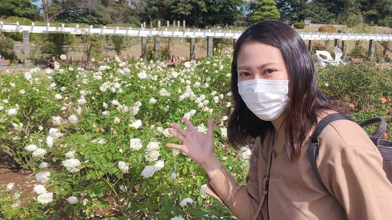 女子アナ47のインスタグラム：「神奈川県在住のフリーアナウンサー久本真菜です。 みなさんはどんな秋をお過ごしでしょうか？読書の秋、スポーツの秋、、、いろいろありますが、今回は、神奈川県で楽しめる「行楽の秋」をご紹介☆ 無料で、広々空間でリラックスできて、とっても素敵な場所ですよ～ 詳しくは、プロフィールから「４７発信プロジェクト」をご覧ください。  ＃女子アナ４７　#アナウンサー ＃フリーアナウンサー ＃地方創生 ＃神奈川 ＃川崎 #秋バラ ＃生田緑地 ＃秋 ＃行楽の秋 #家族連れ ＃お出かけ」