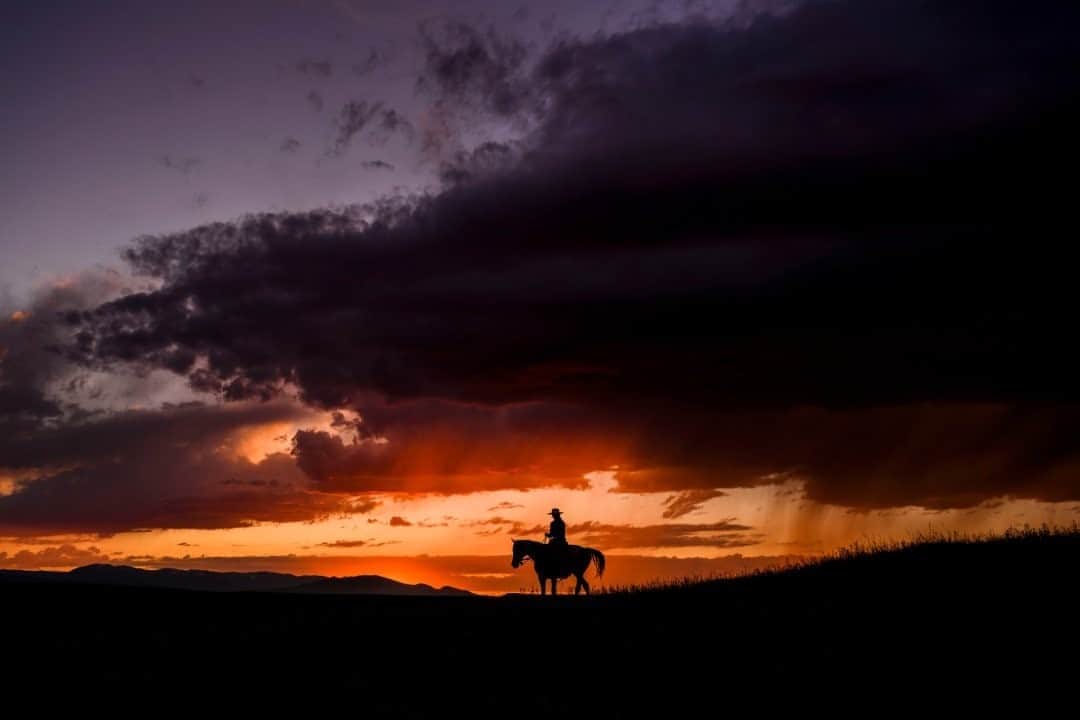のインスタグラム：「Photo by @amivitale / Hilary Zaranek rides her horse as a storm moves in at the Crazy D ranch outside Bozeman, Montana. The Crazy D is the winter pasture for the J Bar L Ranch. Hilary is a @natgeo explorer and an extraordinary woman who founded the first range-rider program in the Tom Miner Basin, which borders Yellowstone National Park. She studies bear and wolf behavior, tracks wildlife, and moves cattle through daily to create a better understanding among landowners and cattle managers. Follow @amivitale for more stories about connections between humanity and nature.」