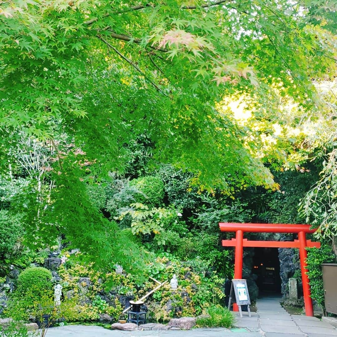 西真理子さんのインスタグラム写真 - (西真理子Instagram)「長谷寺⛩  自然の緑、澄んだ空気、綺麗な音。癒やしの像。 何もかも浄化される。 マイナスイオンたっぷりなパワースポット。 いつも来ると気持ちがリセットされる感じ。 今日も有難う✨  #鎌倉 #長谷寺 #和み地蔵 #マスクバージョン #コロナ禍 #長谷 #パワースポット #浄化  #風鈴 #癒し #音 #Japan #kamakura  #tera #otera #naturephotography」10月21日 19時37分 - mari.nishi.7