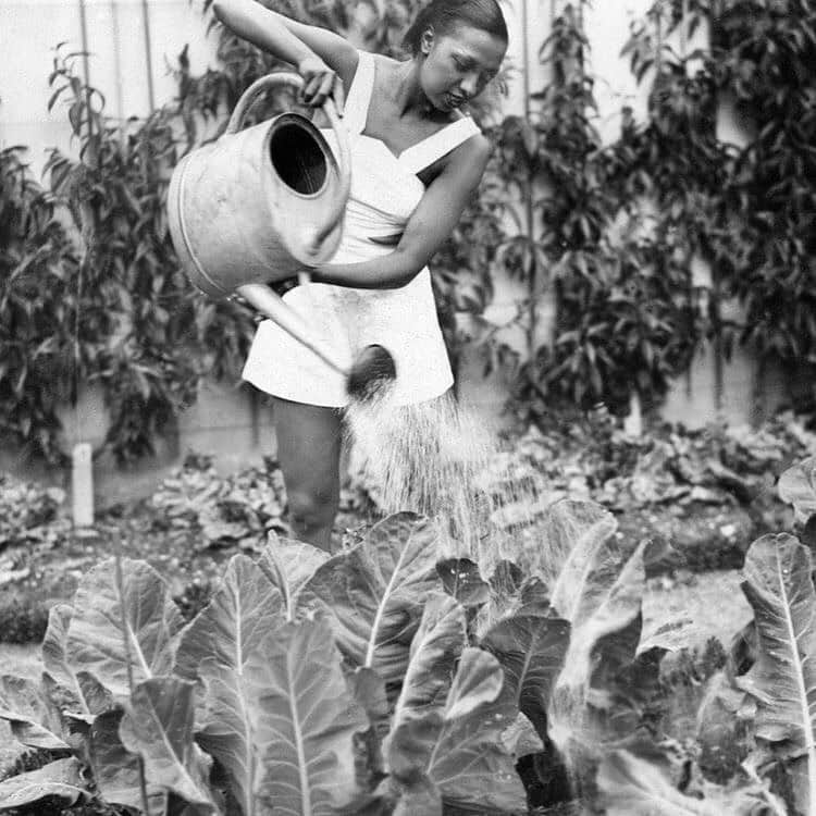 Meganさんのインスタグラム写真 - (MeganInstagram)「Josephine Baker watering her garden at The Chateau des Milandes, her home from 1937-1969 via 〰 @copy_paste_save via @landofwomen . . . . #josephinebaker #gardening #wateringplants」10月21日 20時00分 - zanzan_domus
