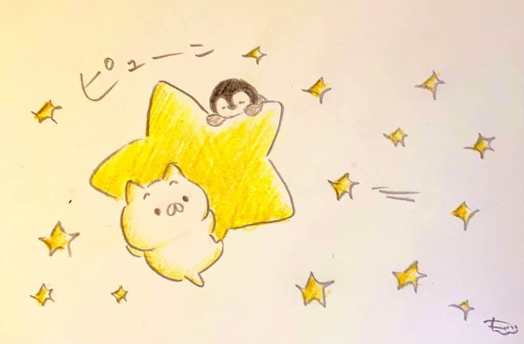 もじじのインスタグラム：「こんやは　おりおんざ　りゅうせいぐんが　みごろだっぺ⭐️  #ねこぺん日和#ねこぺん#ねこくん#ぺんちゃん」