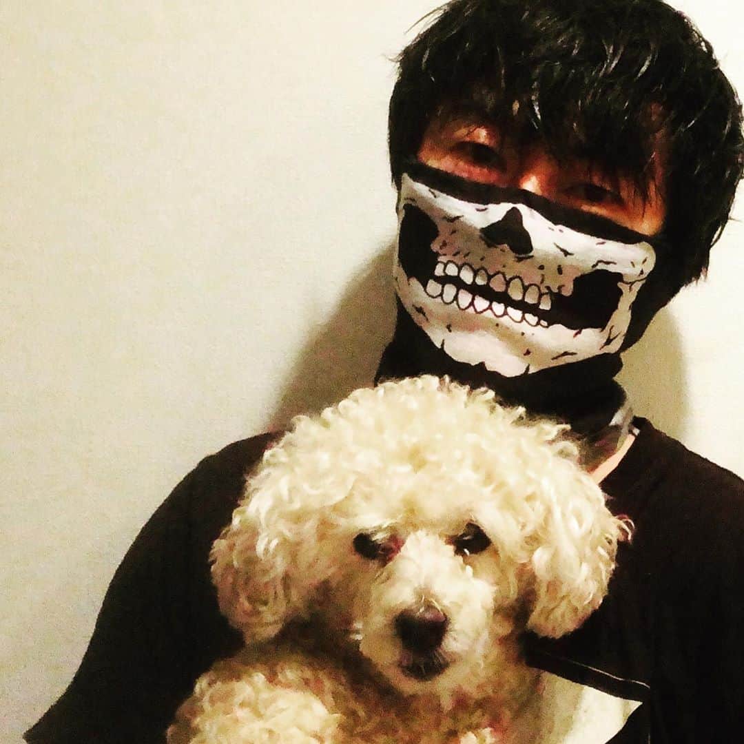 井上幸太郎のインスタグラム：「本日の犬泥棒」