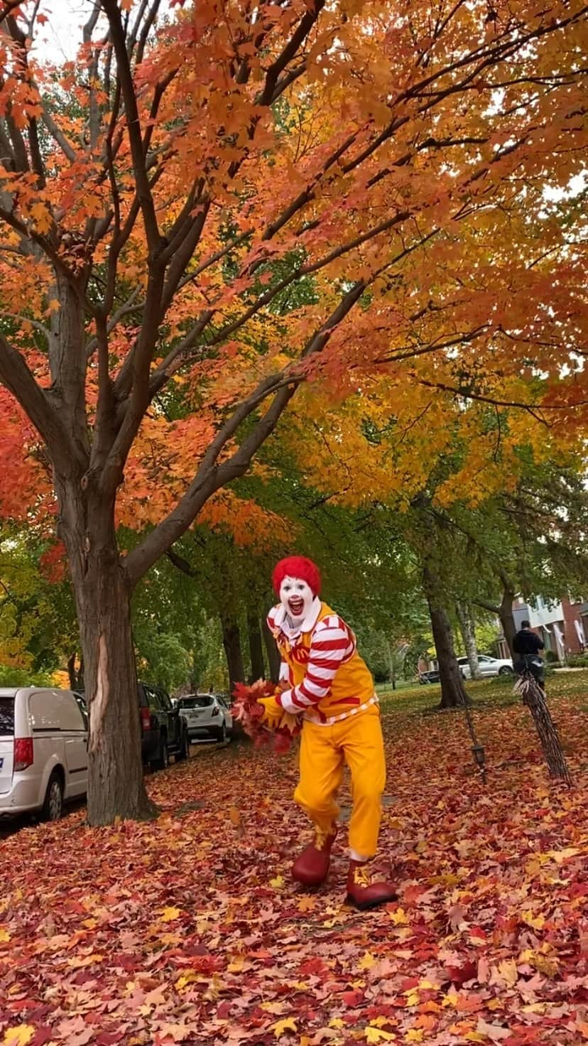 ドナルドのインスタグラム：「I think the #leaves really bring out the color in my hair!」