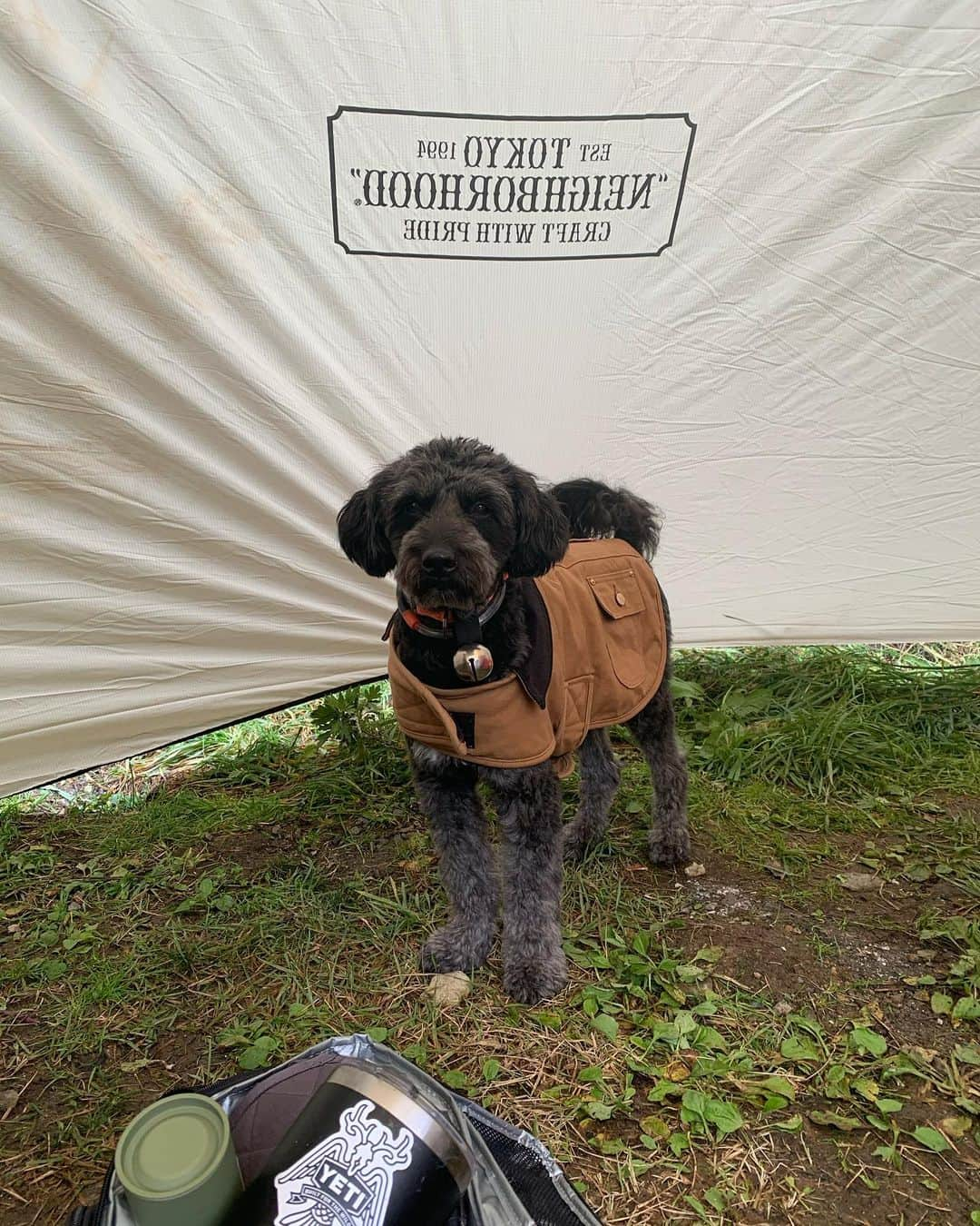 ANNA さんのインスタグラム写真 - (ANNA Instagram)「⛰⛺️CAMP⛺️⛰・ ・ ・ #camp #キャンプ #蝦夷鹿 #えぞしか #アウトドア #outdoor #healthylifestyle #bonfire #焚火 #bbq」10月21日 20時25分 - anna_flare