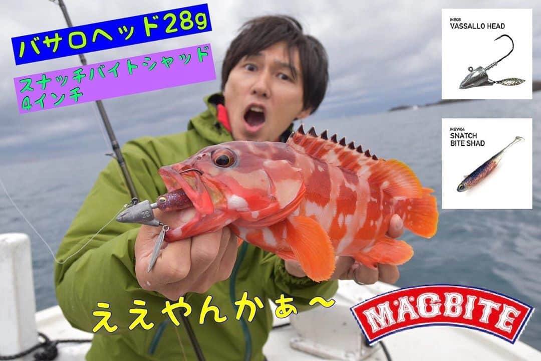 のインスタグラム：「. 🌊MAGBITE🌊 バサロヘッドとスナッチバイトシャッド4インチ  初心者でも楽しませてくれますくれます🤤 ロックフィッシュのお供に是非‼️  ええやんかぁ〜‼️‼️‼️  #MAGBITE #マグバイト  #バサロヘッド  #スナッチバイトシャッド  #ロックフィッシュ  #ロックフィッシュゲーム  #ボートロック  #ボートロックフィッシュ  #アカハタ #アカハタゲーム  #fishing #釣り  #lurefishing  #楽しい釣り #ええやんかぁ」