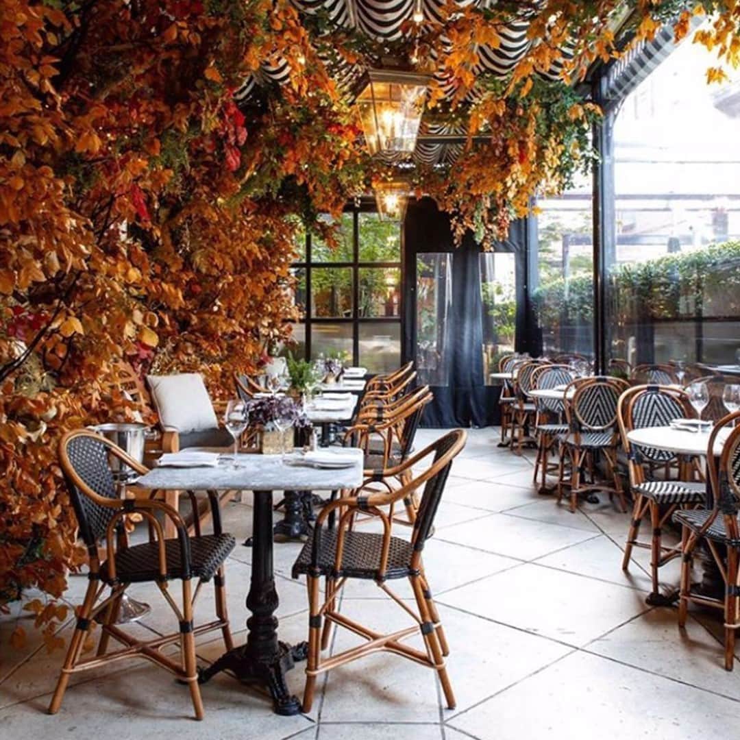 のインスタグラム：「Looking for your new outdoor dining spot? The wonderful @dallowayterrace has transformed its al fresco dining space into an autumnal wonderland, perfect for a weekend brunch or evening cocktails. ⠀ ⠀ Photo: @dallowayterrace⠀ ⠀ #FlorisLondon #London #DallowayTerrace #DallowayAutumnEscape #AlfrescoDining #Outdoors #Autumn #AutumnInLondon」