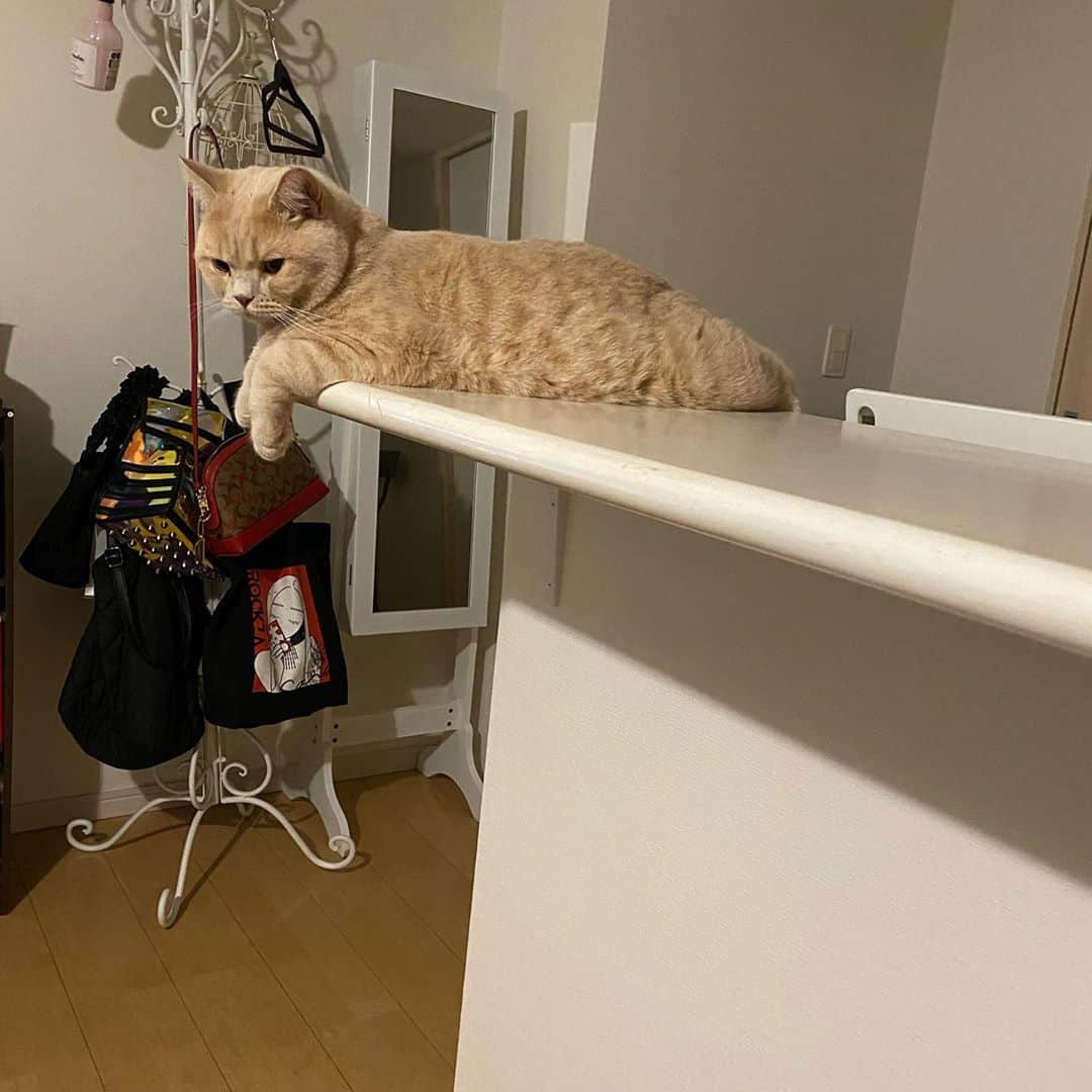 赤西涼のインスタグラム：「いつも通り😂💕」