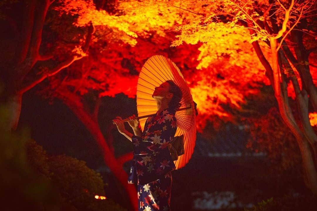 八芳園さんのインスタグラム写真 - (八芳園Instagram)「TOKYO RED GARDEN 2020🍁 東京で愉しむ、 燃えるような紅葉の夜。 . 八芳園自慢の100本もみじが、 庭園を染めあげます。 . 11月1日(日)より始まる 庭園ライトアップとイベントに先駆け、 本日行われたライトアップテスト。 . 赤く照らし出された紅葉が湖面に映り、 都内とは思えない 幻想的な世界が広がります。 . 赤く染まる美しい秋の夜を、 八芳園の日本庭園でお愉しみください。 . . 庭園ライトアップ期間 11月1日(日)〜12月15日(火)  . . #TOKYOREDGARDEN #八芳園 #結婚式場 . #日本庭園 #自然 #紅葉 #紅葉ライトアップ #秋　#風景写真 #港区 . #東京観光  #東京カメラ部  #自然が好き #庭好き #写真好きな人と繋がりたい  #カメラ好きな人と繋がりたい  #風景写真を撮るのが好きな人と繋がりたい  #その瞬間に物語を  . #和装結婚式 #花嫁さんと繋がりたい  #プレ花嫁 #式場探し #プレ花嫁さんと繋がりたい . #japan #japanesegarden #happoen  #tokyotrip #forbestravelguide #photostagram  #tokyotokyo」10月21日 20時59分 - happoen