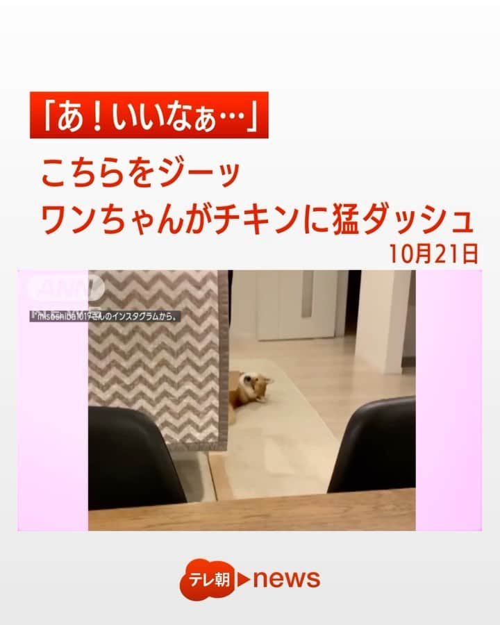 テレ朝newsのインスタグラム