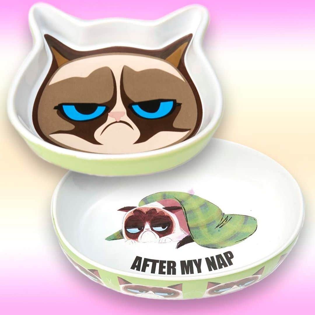 Grumpy Catのインスタグラム：「Face it. Your pets rule the house.   Keep your pets just the right amount of grumpy with Official Grumpy Cat Pet Accessories from PetRageous!  Entire Line Available Here: http://grumpy.cat/gcpetrageous (Link in bio)   #pet #petsofinstagram #pets #petlovers #petstagram #petfriendly #petlife #petlover #grumpycat #grumpy #cat #catsofinstagram #catlife #catlovers #cats #catstagram #cats_of_instagram #cats🐱 #catworld #cats_of_instworld #dog #dogsofinstagram #doglife #doglife #doglovers #dogs #dogstagram #dogoftheday #doglover #dogsofinsta #dogmom」