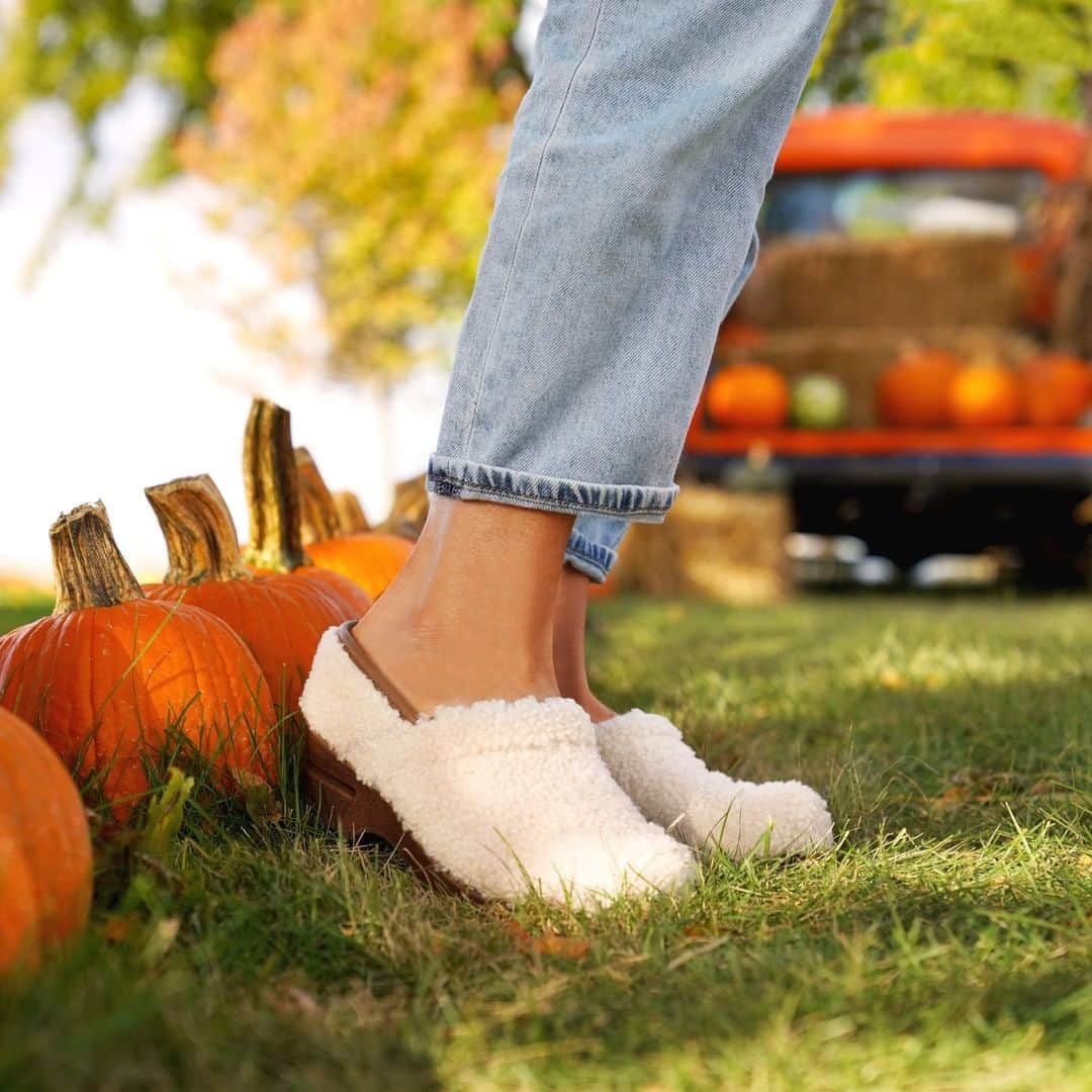 ダンスコのインスタグラム：「Hello gourd-geous! Shop the Professional in shearling on our website now.」