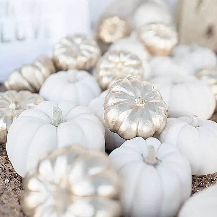 のインスタグラム：「________ #🎃👻 ✔️ . The season 🧡 . #goodmorning  #whitepumpkins  .」