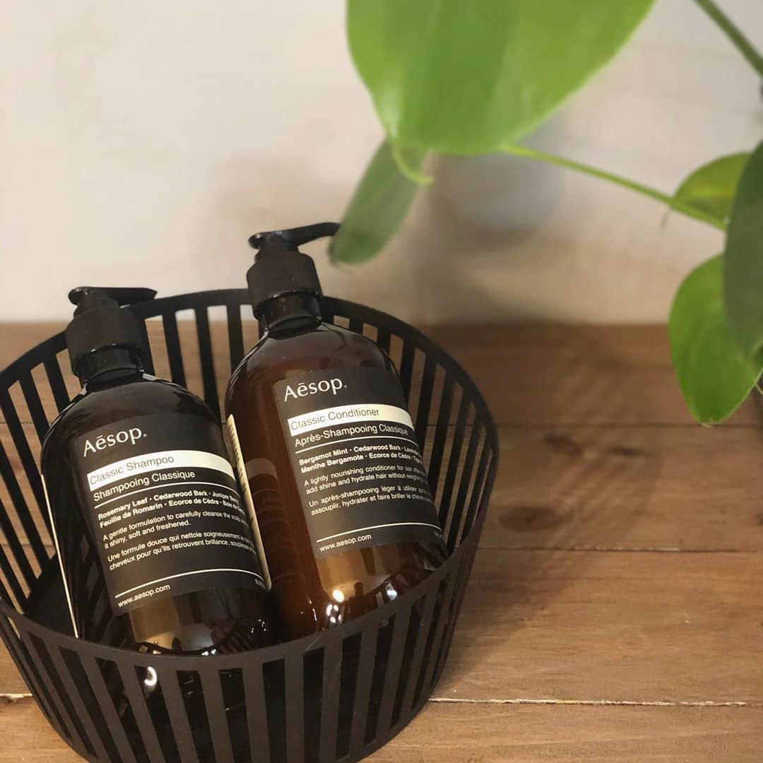 石田 祥子さんのインスタグラム写真 - (石田 祥子Instagram)「@aesopskincare  シャンプーを変えました . . トップのボリュームが いつもの5割増しでビックリ!! . . @fwrd  で購入するのがお得だと思います(送料無料) . . 定価アイテム20%OFFセールも始まったしね♡ . . . ━━━━━━━━━━━━━━━━━━ #lookfwrd #aesop #aēsop #ルックフォーワード #イソップ #イソップシャンプー #シャンプー #トリートメント #40代ボブ」10月22日 8時41分 - shoko_ishida