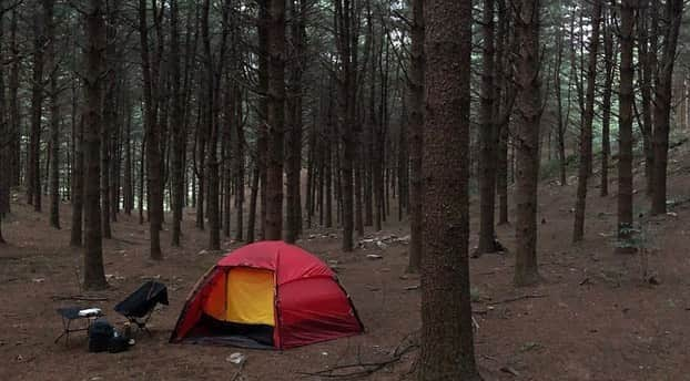 イム・セミさんのインスタグラム写真 - (イム・セミInstagram)「지난해 가을 🌲」10月22日 0時07分 - susemee