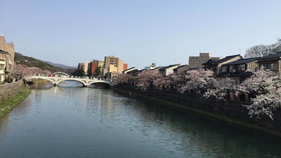 トロたんさんのインスタグラム写真 - (トロたんInstagram)「トロたんと旅するIN石川 ※過去の写真です 武家屋敷の先にある泉鏡花記念館へ(*‘ω‘ *) 金沢に行ったら泉鏡花記念館へ絶対行きたかったオタク😇 そこからひがし茶屋街へ〜 素敵な街並みでした(っ´ω`c) #トロたんと旅する #石川県 #石川 #金沢 #金沢旅行 #金沢  #金沢グルメ #泉鏡花 #泉鏡花記念館 #武家屋敷 #ひがし茶屋街 #桜 #お花見 #旅スタグラム #旅行 #旅行好き女子 #観光 #たびすたぐらむ #tbt #Japanese #japanesegirl  #selfie #Japan #Japantrip #Japantravel  #女子旅  #旅 #trip #travel #photo」10月22日 0時26分 - torotan_tan