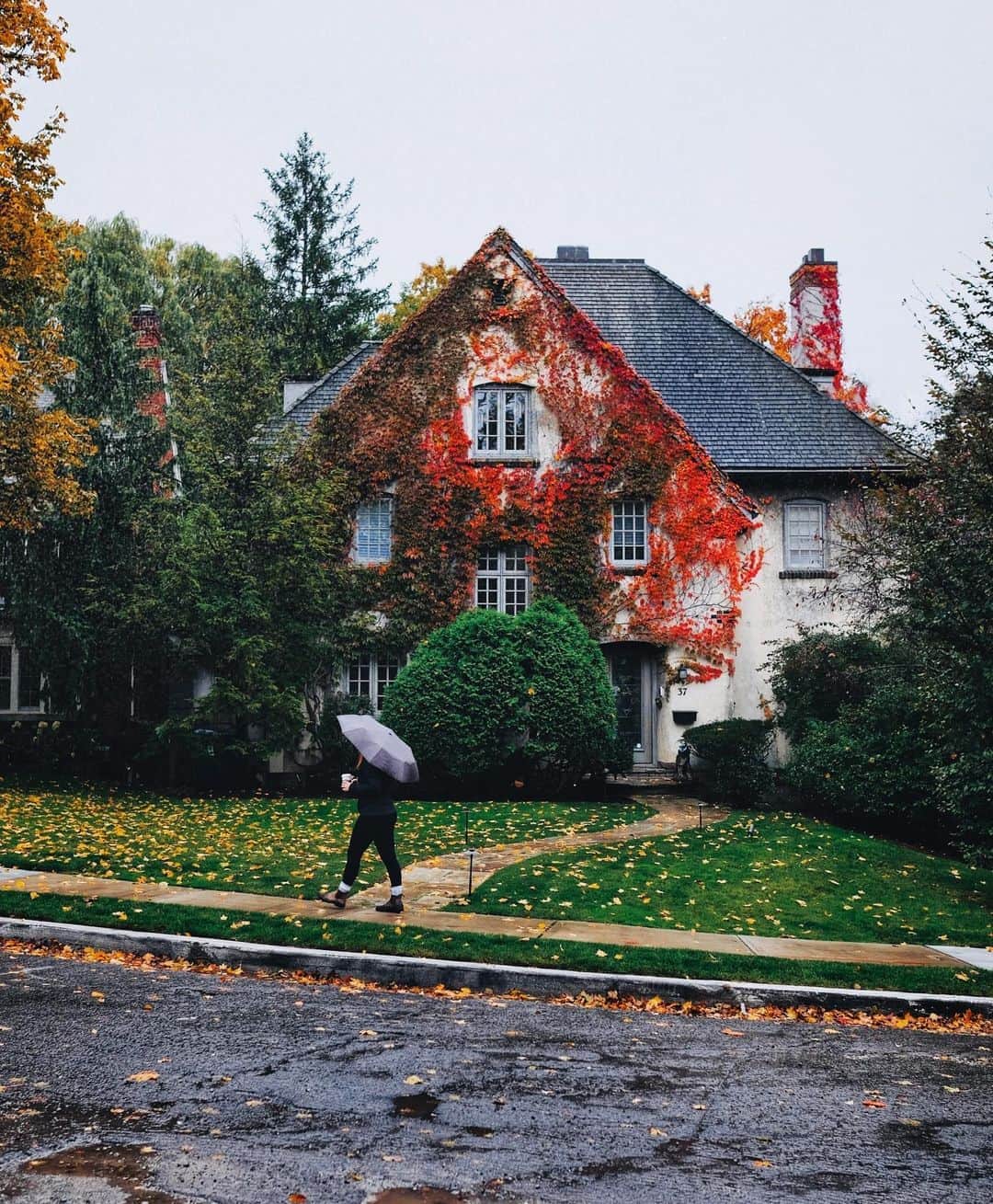 kaelさんのインスタグラム写真 - (kaelInstagram)「Such a lovely rainy morning in the neighbourhood」10月22日 0時29分 - punkodelish