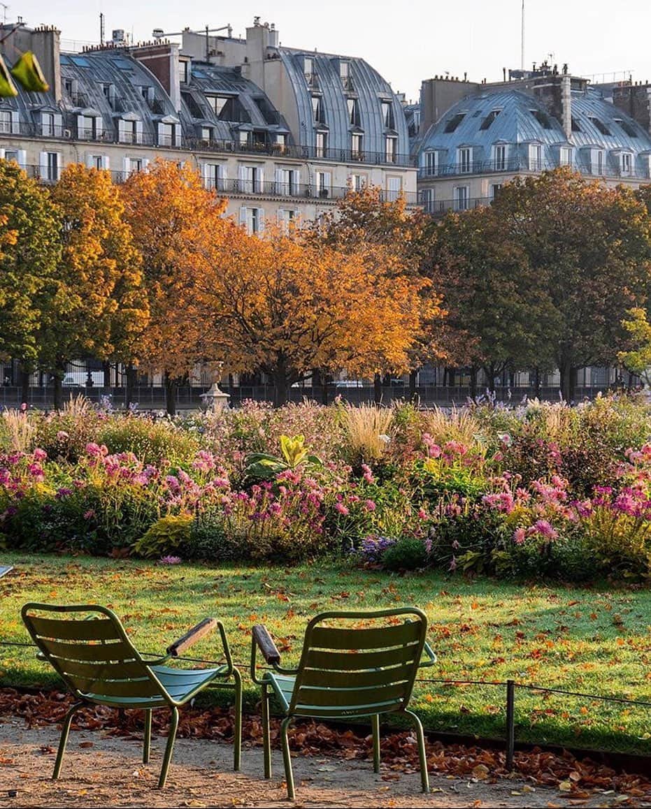 ルーブル美術館さんのインスタグラム写真 - (ルーブル美術館Instagram)「. 🇫🇷 Le #JardinDesTuileries se pare des couleurs de l’automne ! 🍂 Bravo @douceur_a_paris pour cette magnifique capture ! 😍 - 🌳🌸 Vous aussi, partagez votre plus belle photo du jardin des Tuileries avec #ObjectifTuileries et tentez de remporter un Tea Time pour deux personnes à l’Hôtel @lemeuriceparis suivi d’une visite exclusive du jardin des Tuileries. - - - - 🌎 Fall has arrived at the #TuileriesGarden! 🍁 Congrats @douceur_a_paris for this great shot! 😍 - 🌳🌸 You too, share your best photo of the Tuileries garden with the hashtag #ObjectifTuileries! Up for grabs: a Tea Time for two at the 5-star luxury hotel @lemeuriceparis followed by a private tour of the Tuileries Garden. . . . #Louvre #MuséeDuLouvre #Tuileries #ConcoursPhoto #Concours #Contest」10月22日 0時57分 - museelouvre