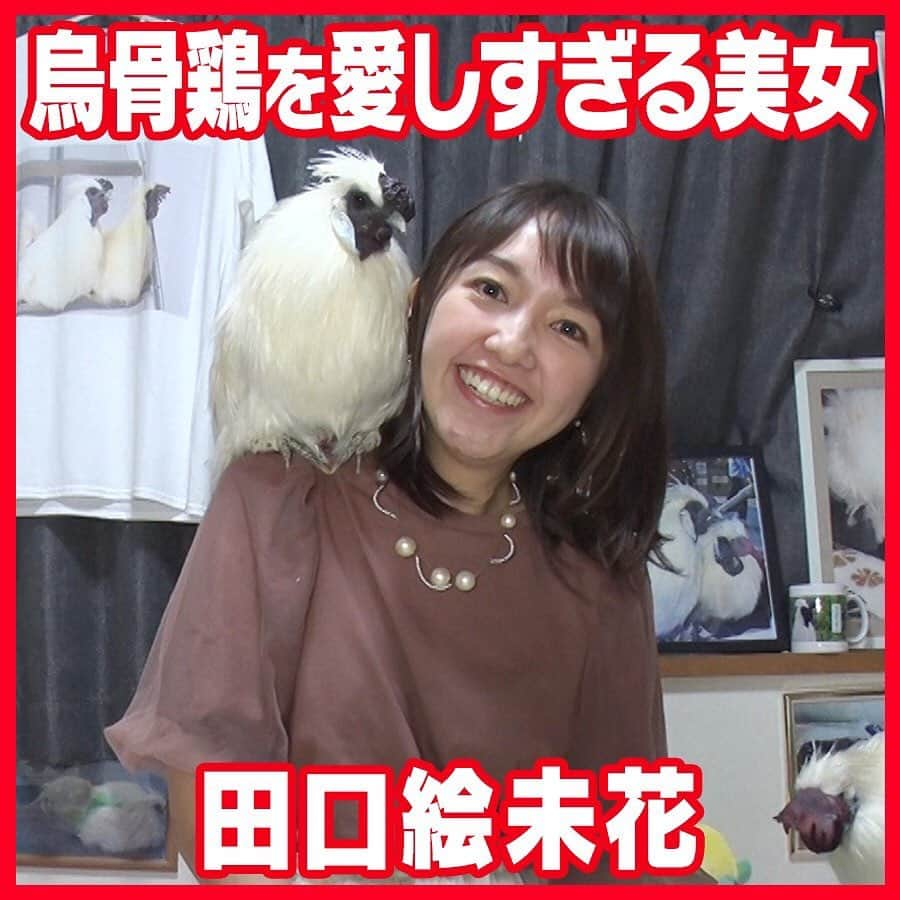 テレビ朝日「あの人がいいねした一般人」のインスタグラム：「. ▼烏骨鶏LOVE・田口絵未花🐔トピックス  ①部屋の中は烏骨鶏の写真だらけ🥚 ②うこっかーず！でバンド活動中🐥 ③烏骨鶏をベビーカーに乗せて散歩が日課🐓 ④烏骨鶏を飼うと部屋が綺麗になる⁉️   #いいねの森 #渡辺直美 #吉村崇 #青山テルマ #田口絵未花 #烏骨鶏 #うこっかーず  #平子祐希 #いいね図鑑」