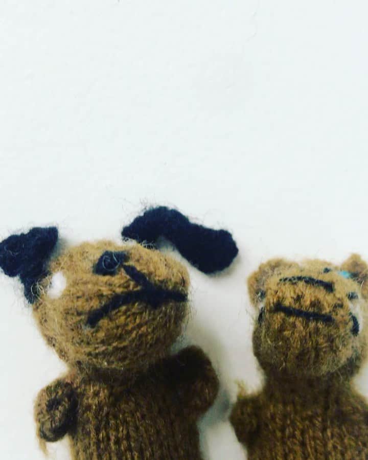 のインスタグラム：「at the office today 💕」