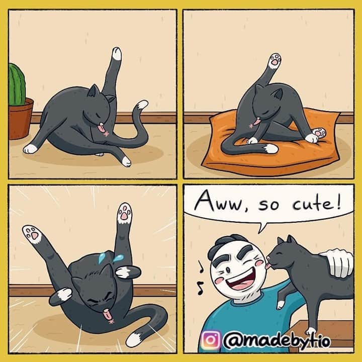 Aww Clubのインスタグラム