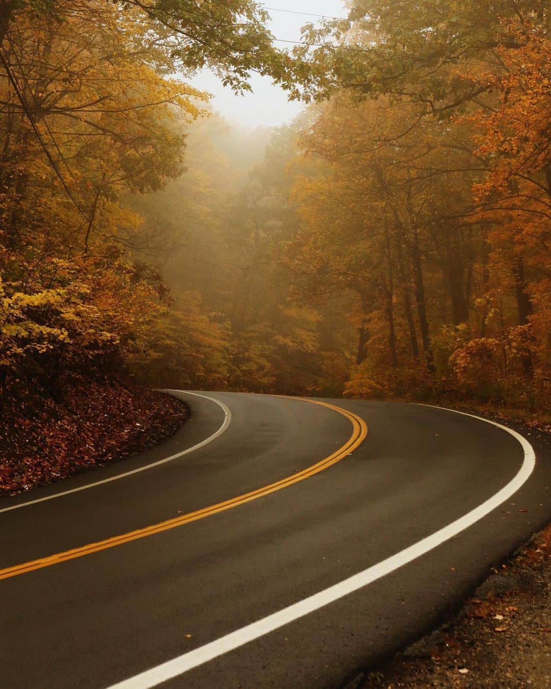 FOLKのインスタグラム：「This morning I wanted to stop by and see @earthangelsstudios. I knew the drive would be pretty, but I didn’t anticipate it would be this pretty. The Catskills are truly my favorite spot to photograph the passing of fall each year. This morning as I drove up and over the mountain that splits Warwick from the rest of the Hudson Valley the fog hung low and the cloudy skies brought all of the autumn colors to life. Much of the region has already peaked, but this morning as I drove over the mountain and through the woods the season was in all of its glory.」