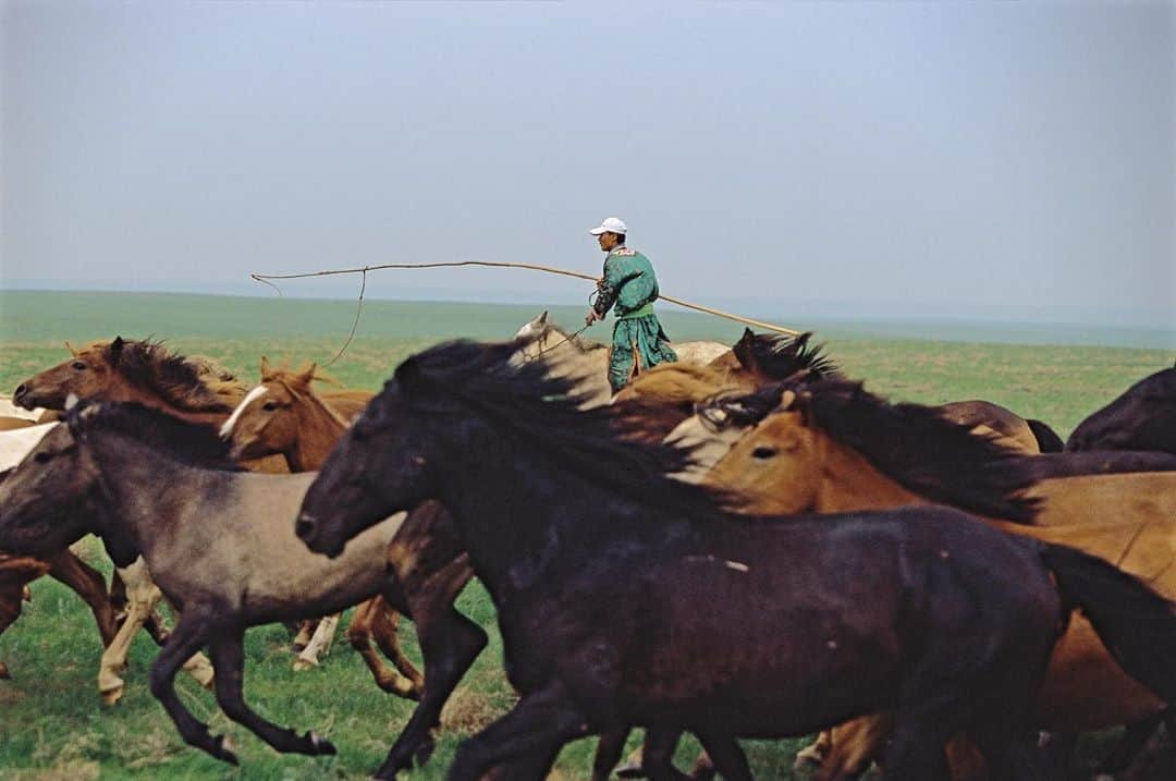 Michael Yamashitaさんのインスタグラム写真 - (Michael YamashitaInstagram)「A  family of Mongolian cowboys I photographed during the annual spring roundup near Shangdu, the ancient site of Xanadu, Kublai Khan’s summer palace immortalized by a a Samuel Taylor Coleridge poem. They wield looped bamboo poles (urga )to lasso the horses and bring them to the ground by their tails for inoculation and branding, the same tools and techniques used by their ancestors centuries ago. They are descendants of the marauding Mongolian nomads the Great Wall was built to keep out.  In 1279 , Mongols under Kublai Khan, grandson of Genghis Khan, established the Yuan Dynasty and conquered all of China. #innermongolia #mongol #mongolia #mongolian #mongolianhorse」10月22日 3時17分 - yamashitaphoto