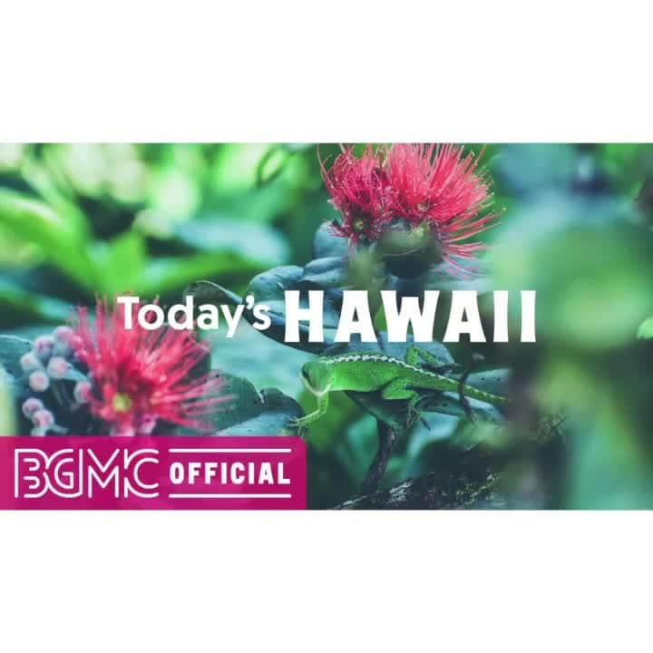 のインスタグラム：「Warming and Relieving Hawaiian Instrumental Music for Working, Studying, Resting & Relax  Please check the full version on #YouTube from the profile URL.  #BGMC #BGMClife #HawaiianBGMchannel #StayHome #Hawaiian #Warming #Relax」