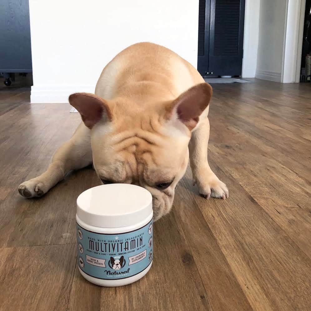 Regeneratti&Oliveira Kennelさんのインスタグラム写真 - (Regeneratti&Oliveira KennelInstagram)「Make sure your dog is getting all the nutrients they need by offering a quality supplement. @naturaldogcompany makes an awesome Multivitamin that is great for promotes healthy skin & coat, healthy gut, and hip & joint wellness. It's all-natural, pet-safe, & vet-approved for dogs of all ages, sizes, & breeds. . ⭐ SAVE 20% off @naturaldogcompany with code JMARCOZ at NaturalDog.com  worldwide shipping  ad 📷: @pardonmyfrenchie_juno . #frenchie #frenchbulldog #bulldoguefrances #bulldog #petsupplies #healthy ##supplements #pet #dog #frenchies1 #cachorro」10月22日 4時16分 - jmarcoz