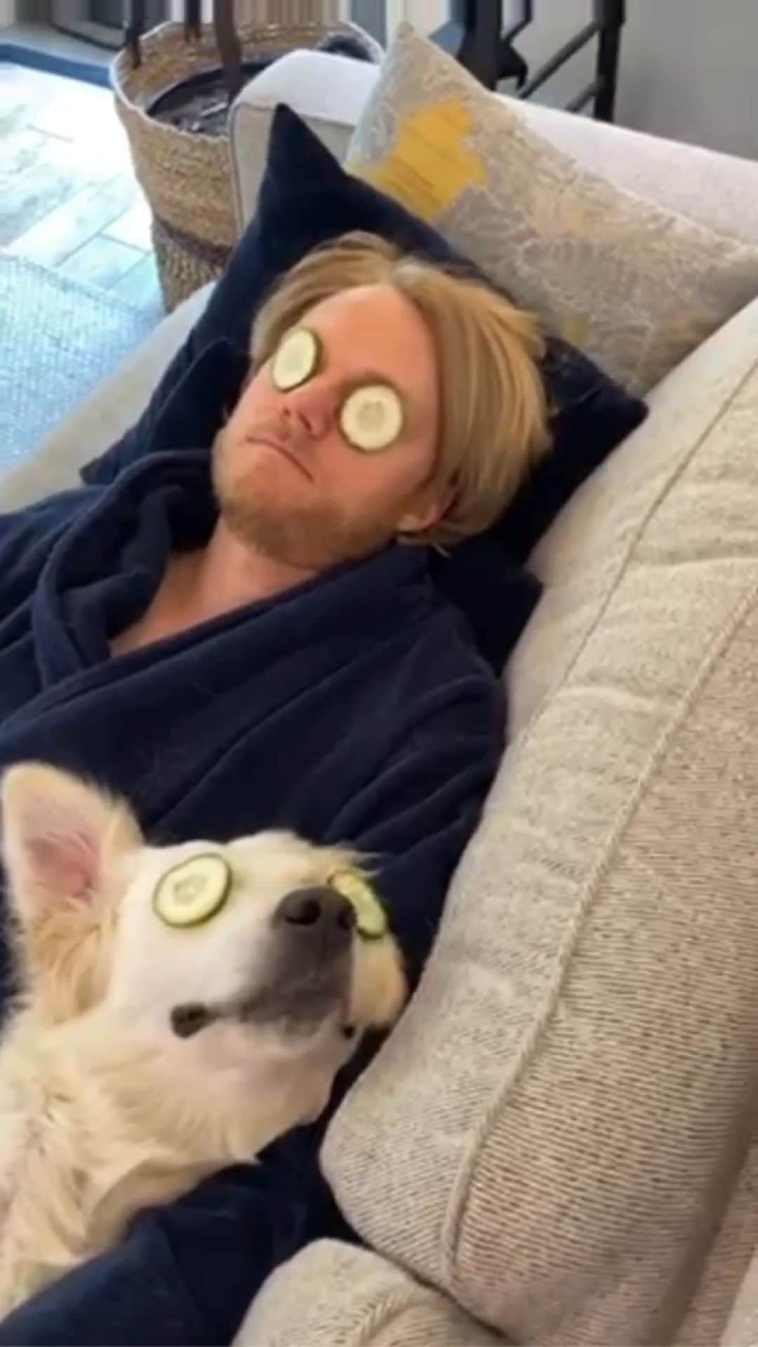 のインスタグラム：「Looking for National #MakeADogsDay ideas? We recommend a spa day! Tell us how you’re planning on celebrating tomorrow.   (📸: @ladyandtheblues )」