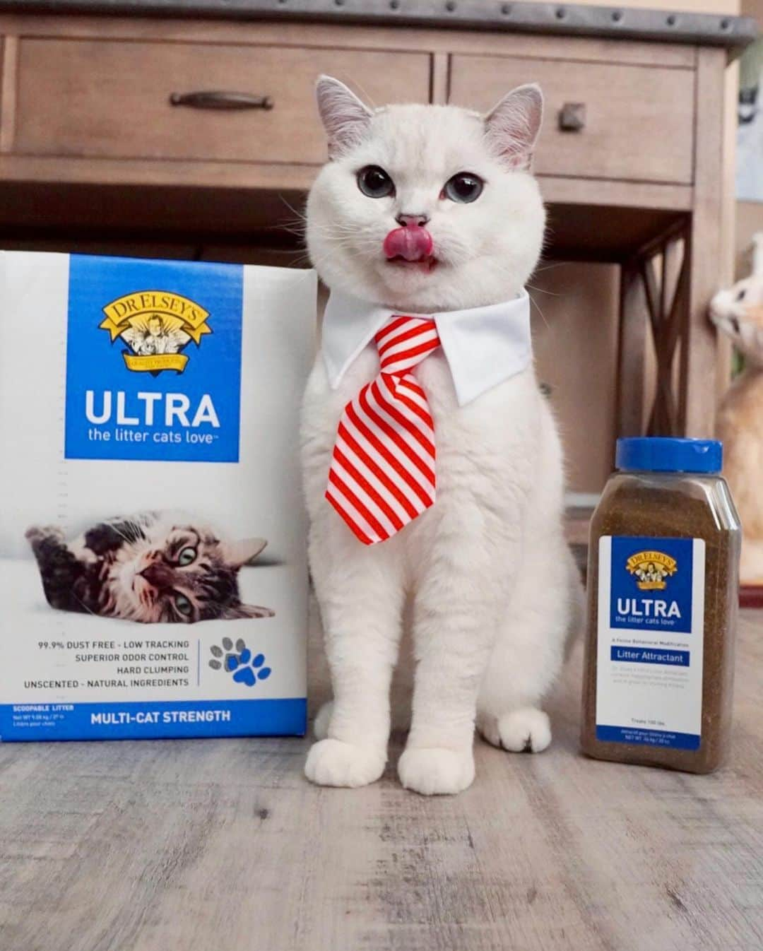 ミスター・ホワイトさんのインスタグラム写真 - (ミスター・ホワイトInstagram)「When it comes to litter, I have high standards and that’s why Ultra by @drelseys is the only litter for me. Dusty litter box clouds are in the past! Pair it with Ultra Litter Attractant to encourage the entire furry squad to do their business in all the right places. You can even find out which veterinarian-formulated litter is the perfect fit for your needs by having the human take Dr. Elsey's free litter quiz! Link in bio to learn more! #DrElseys #ad」10月22日 5時30分 - white_coffee_cat