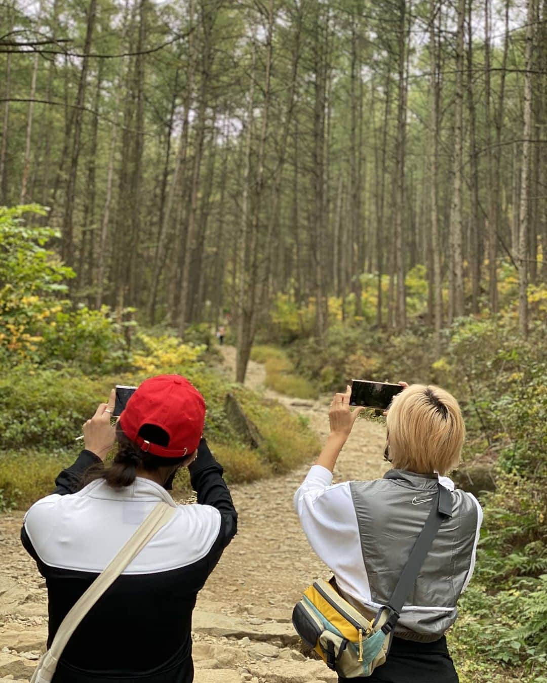 ヘリンさんのインスタグラム写真 - (ヘリンInstagram)「#검단산 스피디하게  다녀온 검단산 @suleewriter 언니덕에 새로운코스를 알았당 @songhaena 언니를 간신히따라잡으면서 걸어간 예쁜 검단산 ♡ 좋으다 #젝시믹스 덕분에 따뜻하게 다녀와또 @yeonpilates #젝시믹스레깅스」10月22日 6時23分 - hyeliniseo