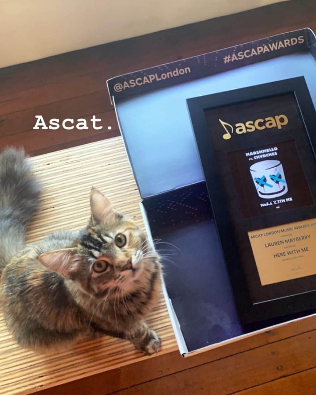 ASCAPさんのインスタグラム写真 - (ASCAPInstagram)「We’re changing our name to ASCAT, thanks to @chvrches 😹 jk  Congrats to @laurenevemayberry @thecooksan & @realdoko on your #ASCAPAwards for #HereWithMe 🏆🏆🏆」10月22日 6時24分 - ascap