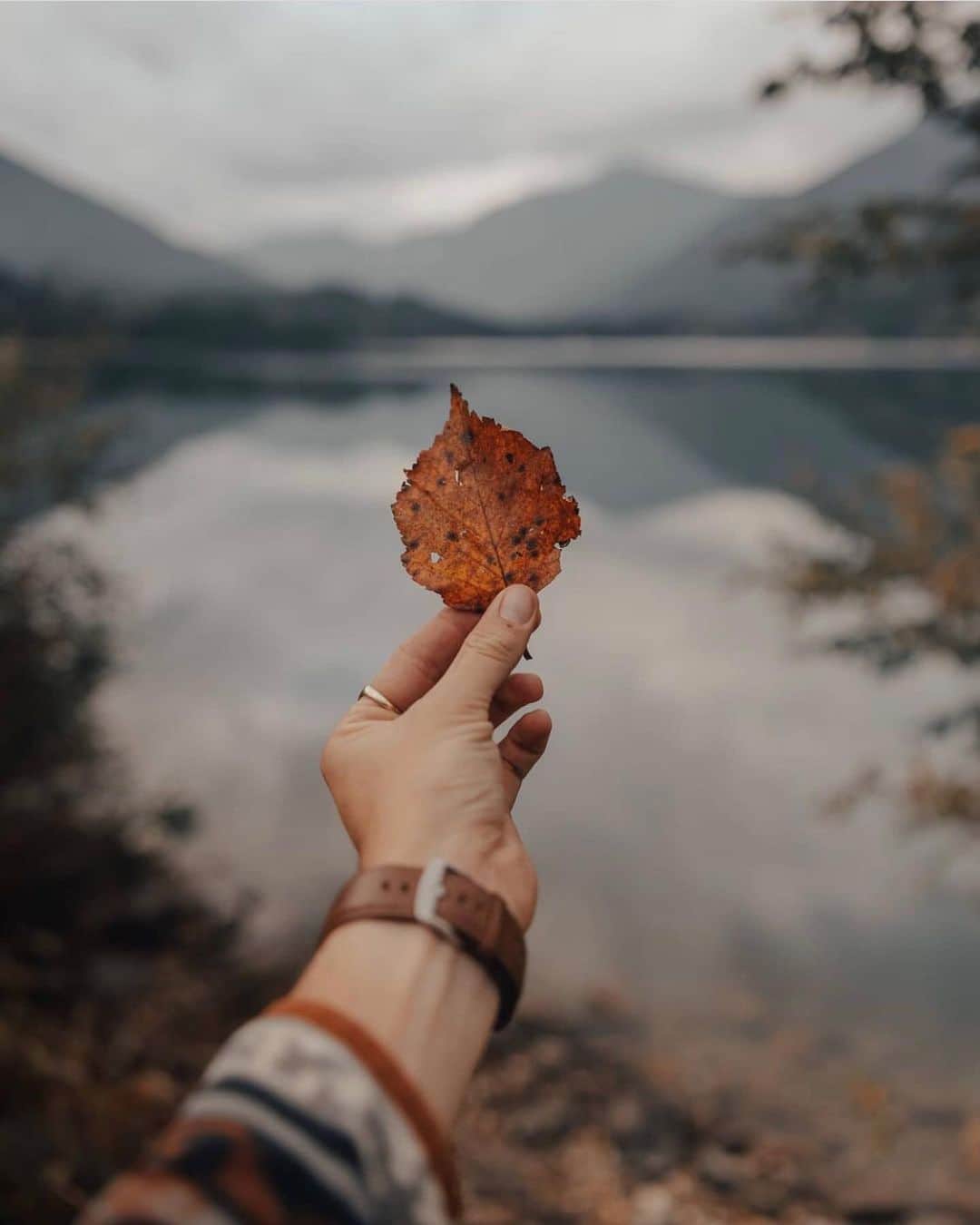 FOLKさんのインスタグラム写真 - (FOLKInstagram)「Only fall feels. Today’s favorites: 1.) @benwaugh 2.) @andrewtburns 3.) @jacobnordin 4.) @alwaysroaming 5.) @evakosmasflores 6.) @josiahwalkerphoto」10月22日 6時29分 - folkmagazine