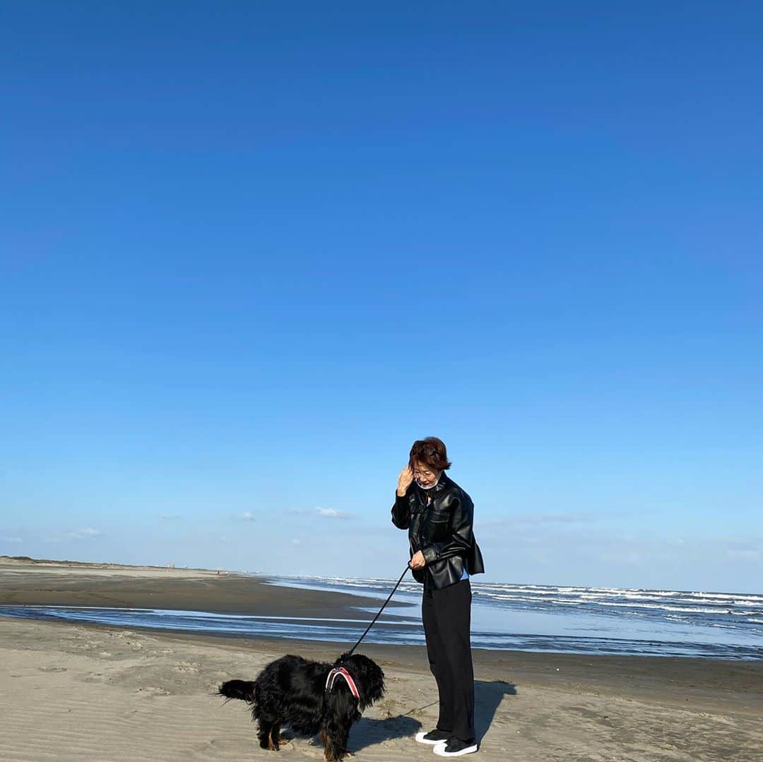 奈美悦子さんのインスタグラム写真 - (奈美悦子Instagram)「気持ち良いお天気！#楽しい#お天気最高 #楽しい #砂浜 #海 #潮風#愛犬#クッキー#キャバリア #キャバリアキングチャールズスパニエル #ブラックタン」10月22日 7時06分 - nami.etsuko