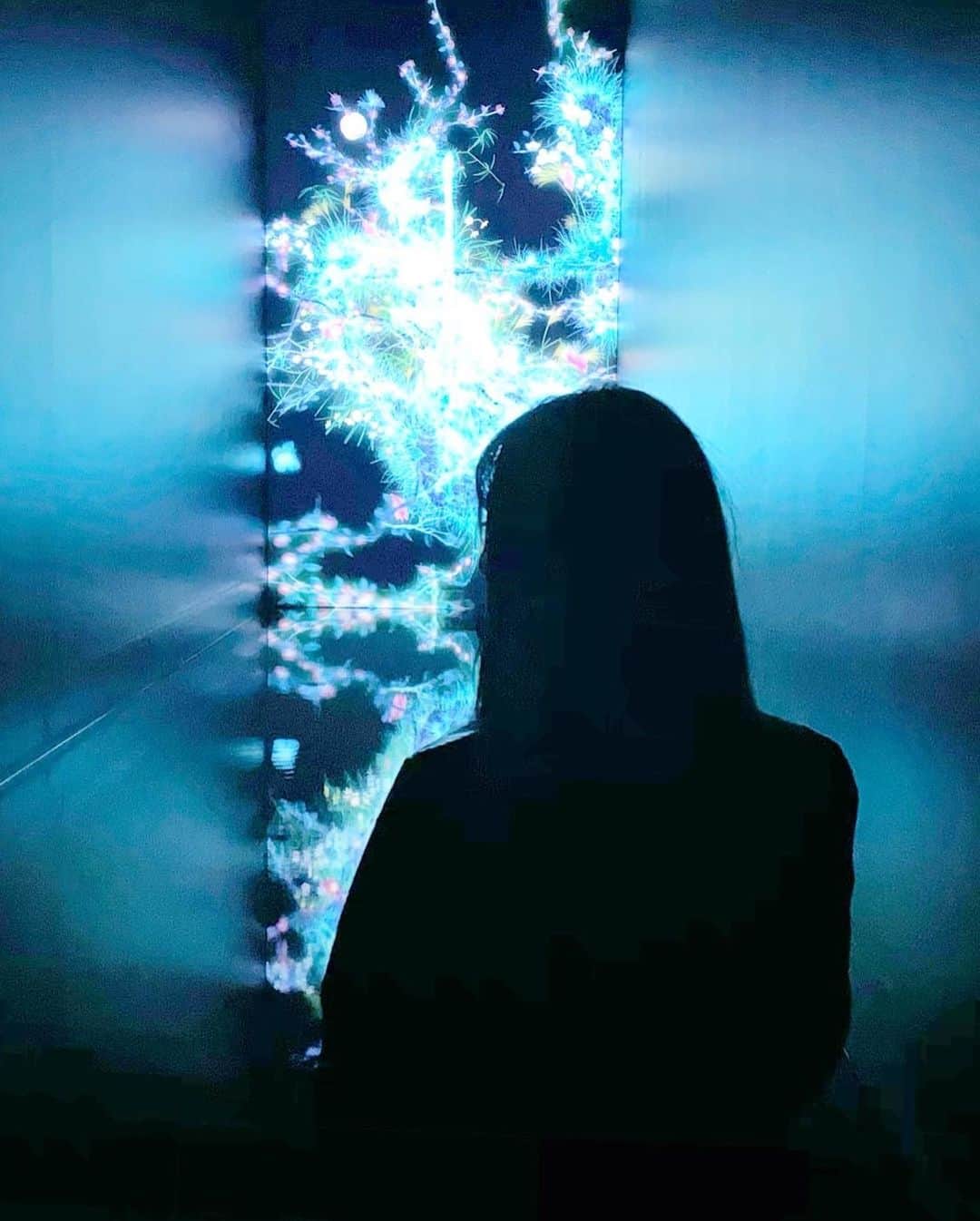 五位渕のぞみさんのインスタグラム写真 - (五位渕のぞみInstagram)「#teamLabPlanets TOKYOへ⭐️🌈✨ @teamlab.planets @teamlab  豊洲にある「水に入るミュージアム」 フォトジェニックな空間に感動しっぱなしでした😭💓✨✨ ㅤㅤㅤㅤㅤㅤㅤㅤㅤ  💙teamLab Planets TOKYO💙 東京都江東区豊洲6-1-16 （新豊洲駅の目の前） ㅤㅤㅤㅤㅤㅤㅤㅤㅤ ✅開催期間 開催中～2022年末までの期間限定 ㅤㅤㅤㅤㅤㅤㅤㅤㅤ ✅営業時間 平日　10:00～19:00 休日　9:00～19:00 ㅤㅤㅤㅤㅤㅤㅤㅤㅤ ✅料金 ＜2020/6/13～入場分＞エントランスパス 大人（18歳以上）：3,200円 学割（大学生・専門学生）：2,500円 学割（中学生・高校生）：2,000円 小人（4歳～12歳）：800円 シニア（65歳以上）：2,400円 障がい者割引：1,600円 ㅤㅤㅤㅤㅤㅤㅤㅤㅤ ————————————————————————  🎫お得なクーポン🎫 ㅤㅤㅤㅤㅤㅤㅤㅤㅤ 公式サイトにて使用できる期間限定クーポンで チケット代30%OFF！大人チケットの場合、　3,200円→2,240円に！！  ▼クーポンコード planets  ▼対象入場期間 2020/10/1(木)~2021/2/28(日)  ▼使用方法： チームラボプラネッツ（豊洲）の公式サイトで チケット購入時にクーポンコード「planets」を 入力し「適用」ボタンを押すと、割引価格で購入可😭ㅤㅤㅤㅤㅤㅤㅤㅤㅤㅤㅤㅤㅤㅤㅤㅤㅤㅤ 東京に２つのチームラボ💫 💟地図のないミュージアム(お台場) 　　👉「チームラボボーダレス」 💟水に入るミュージアム(豊洲） 　　👉チームラボプラネッツ ㅤㅤㅤㅤㅤㅤㅤㅤㅤ ㅤㅤㅤㅤㅤㅤㅤㅤㅤ お台場と豊洲の2つの「チームラボ」は 「お台場は子ども向け、豊洲は大人向け」と聞くのですが、豊洲も水に入る作品があるなどお子さんでも 十分楽しめる空間だなぁーと思いました👦💗👧 ㅤㅤㅤㅤㅤㅤㅤㅤㅤ 両方のアート世界を体感してみるのも良さそ🥰❤️ ㅤㅤㅤㅤㅤㅤㅤㅤㅤ 足の骨折が治ったらゼッタイお台場も行きたい😆🎶 ㅤㅤㅤㅤㅤㅤㅤㅤㅤ ㅤㅤㅤㅤㅤㅤㅤㅤㅤ ㅤㅤㅤㅤㅤㅤㅤㅤㅤ  ㅤㅤㅤㅤㅤㅤㅤㅤㅤ ㅤㅤㅤㅤㅤㅤㅤㅤㅤ ㅤㅤㅤㅤㅤㅤㅤㅤㅤ  ㅤㅤㅤㅤㅤㅤㅤㅤㅤ ㅤㅤㅤㅤㅤㅤㅤㅤㅤ ㅤㅤㅤㅤㅤㅤㅤㅤㅤ  ㅤㅤㅤㅤㅤㅤㅤㅤㅤ ㅤㅤㅤㅤㅤㅤㅤㅤㅤ ㅤㅤㅤㅤㅤㅤㅤㅤㅤ  #チームラボプラネッツ #チームラボ豊洲 #pr #トリドリベース #豊洲 #新豊洲 #フォトジェニック #팀랩 #팀랩라이프 #art #digitalart #waterart #japan #visitjapan #tokyo #toyosu #instaart #photogenic #teamLabBorderless #teamLab无界 #teamLab无界上海 #teamLabShanghai #デジタルアート #デートスポット #チームラボボーダレス #豊洲デート @teamlab_borderless @teamlab.planets @teamlab_borderless_shanghai」10月22日 7時11分 - nonnon0319