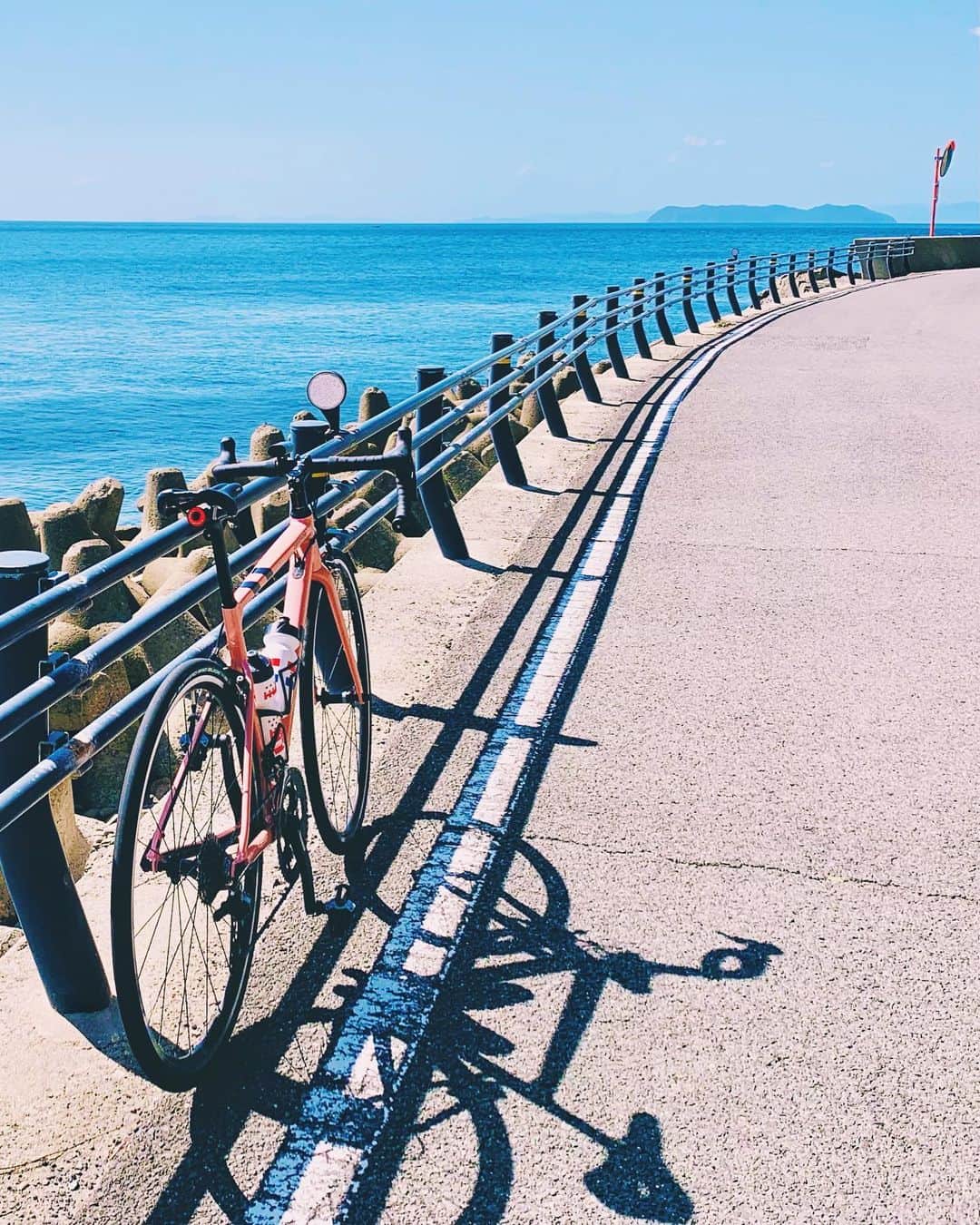 mana___chinのインスタグラム：「🏝南淡路水仙ライン🏝  アワイチ最初の難関、立川水仙郷を越えると 美しい海岸線が待っている🚴🏻‍♂️ 島民もめったに来ない島の秘境だ🏝  #ロードバイク #ロードバイクのある風景 #ロングライド #チャリダー #ヒルクライム #サイクリング #アワイチ #キャノンデール #caad13 #cannondale #ridecannondale #roadbike #roadbikelife #roadbike_jp #ロードバイクjp #igcjp #cycling #坂バカ #沼島 #淡路島 #南淡路水仙ライン #awajishima」