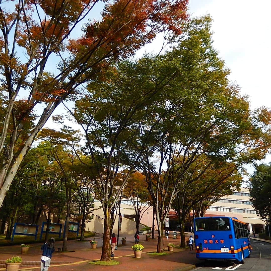 法政大学さんのインスタグラム写真 - (法政大学Instagram)「多摩キャンパスでは木々の葉が少しずつ色づき始めました。秋の気配を感じます。  #法政 #大学 #法政大学 #多摩 #キャンパス #紅葉 #hosei #university #autumn」10月22日 16時49分 - hosei_university