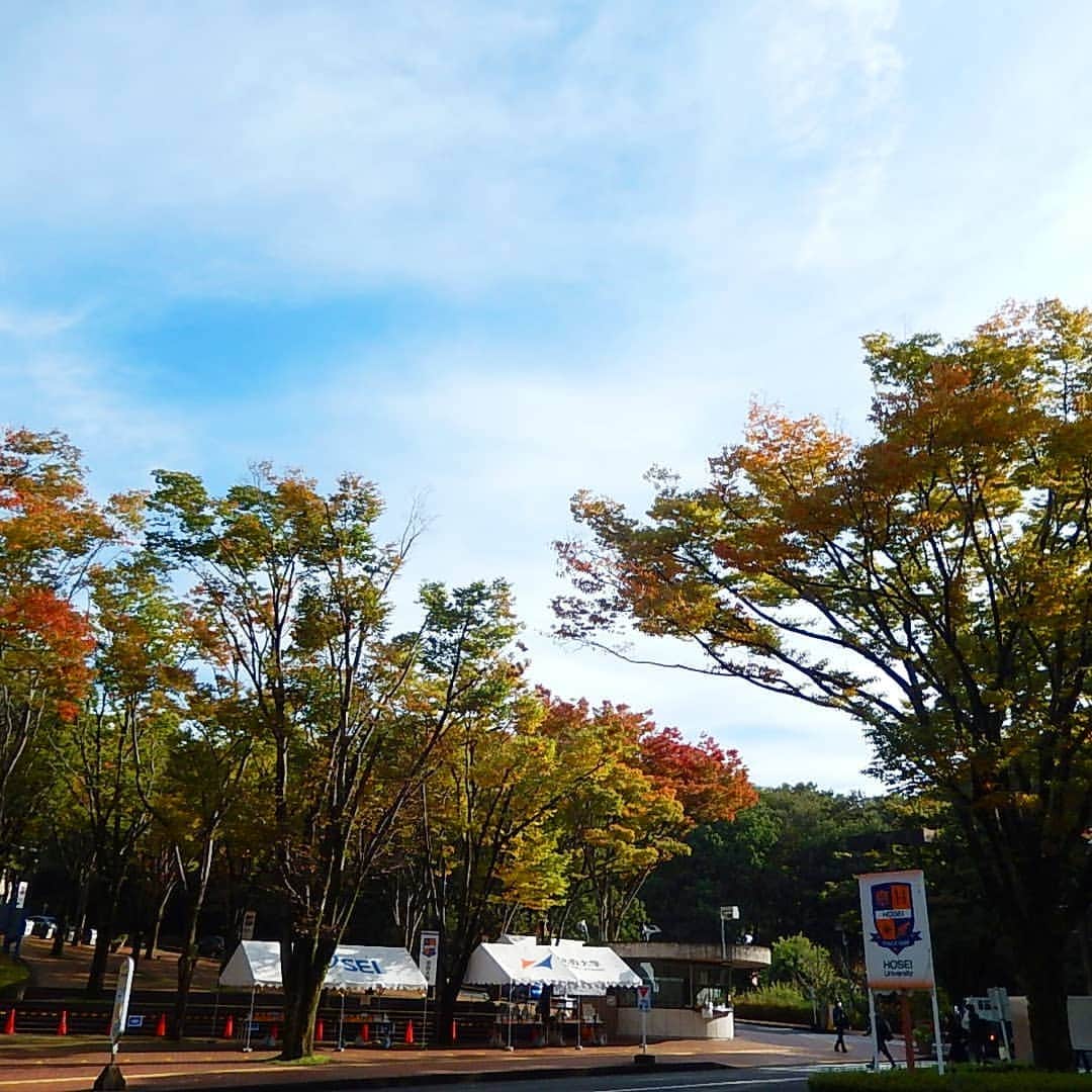 法政大学さんのインスタグラム写真 - (法政大学Instagram)「多摩キャンパスでは木々の葉が少しずつ色づき始めました。秋の気配を感じます。  #法政 #大学 #法政大学 #多摩 #キャンパス #紅葉 #hosei #university #autumn」10月22日 16時49分 - hosei_university