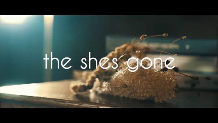 のインスタグラム：「10/30 20:00  「FACE to FACE」  ... YouTubeにて無料配信ライブ ・無料 ・無料 ・無料  #theshesgone #music #youtube #band #無料」