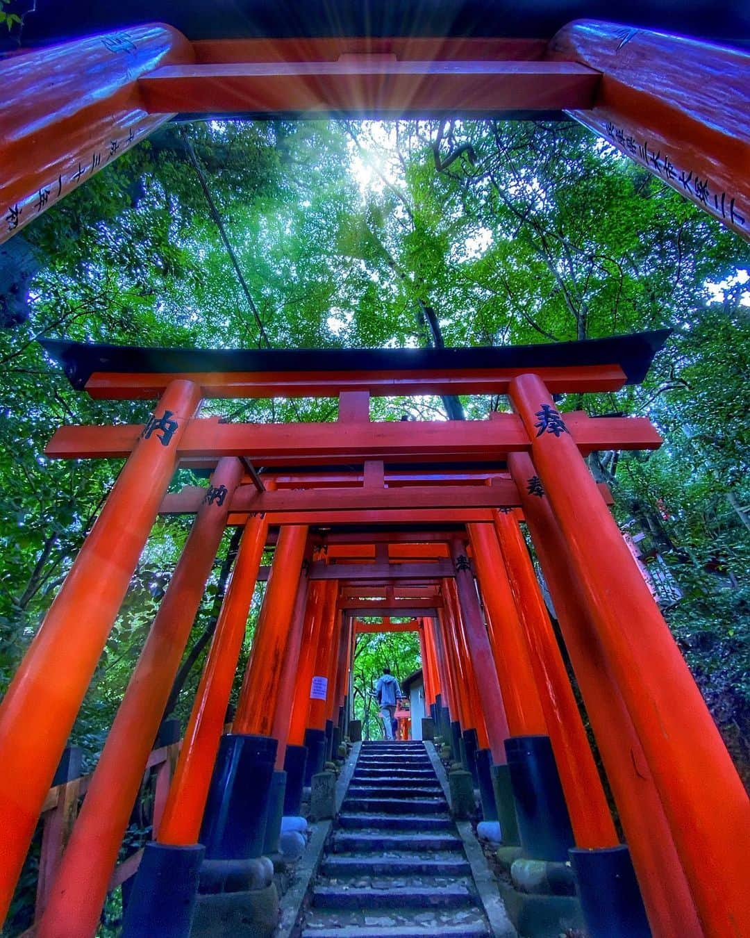 hama_aki_pppさんのインスタグラム写真 - (hama_aki_pppInstagram)「京都市伏見区#伏見稲荷大社  Location kyoto japan #fushimiinaritaisha    2020年10月　 　  #神社仏閣　 #寺院仏閣　 #美しい日本　 #日本庭園  #おとな旅プレミアム　 #伏見稲荷  #そうだ京都行こう　 #こころから  #日本ツアーズ　 #japan_daytime_view  #japan_bestpic_  #top_favorite_shots  #japan_vacations  #inspring_shot #beautiful_kansai #worldbestshot  #japanesetemple  #japanesegarden  #loves_united_japan  #jalan_travel  #special_spot_  #special_shots  #look_japan  #fushimiinari  #torii  #otonatabi_japan  #dokoiku」10月22日 17時01分 - hama_aki_ppp