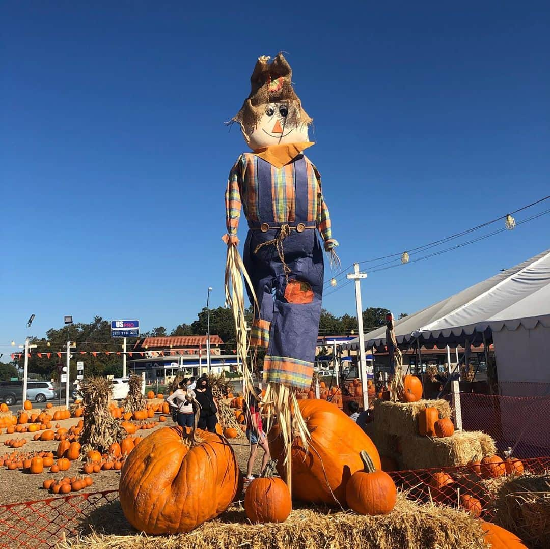 珠華ゆふさんのインスタグラム写真 - (珠華ゆふInstagram)「パンプキンパッチ行った時の🎃 パンプキンパッチって何？って状態だったけど😂 人も少なく、子どもたち楽しそうだったし、お気に入りのカボチャも見つけれてよかった⭐️  もうすぐプリスクールのハロウィンイベントで車のトランクを装飾してきてくださいと言われてて💦💦 久しぶりに絵の具使って描いてみました🎨思い通りに描けないんだけど😅こういう没頭する時間大切だなぁ。」10月22日 17時08分 - yufu_tamahana