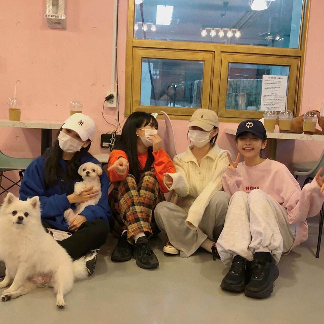 スアさんのインスタグラム写真 - (スアInstagram)「#오늘부터어성초 와 함께 유기견봉사 + 기부하고 왔어요 👀 중랑구에 위치한 유기견보호소인 다시사랑받개에 다녀왔습니당 🐶💕 가서 산책도 시키고 목욕도 시켜줬는데 너무 작고 귀여운 애기들 덕분에 오히려 우리가 힐링 받고 온 느낌 ..🤍 요로케 작고 귀여운 애기들을 버리는건 대체 무슨 생각으로 그러는건지 참 ,, 화가난다 증말 😂 오늘부터어성초에서 기부해주신 금액들은 애기들 필요용품을 구매하는데 사용된다고 합니다 🙏🏻 그리고 혹시 봉사하고 싶으신 분들, 기부하고 싶으신 분들 있으시면 @celeb_in 으로 문의 주시면 된다고 하니까 문의 많이많이 주세용 좋은 일은 함께 해요 우리 👀💕」10月22日 17時09分 - midoricoo