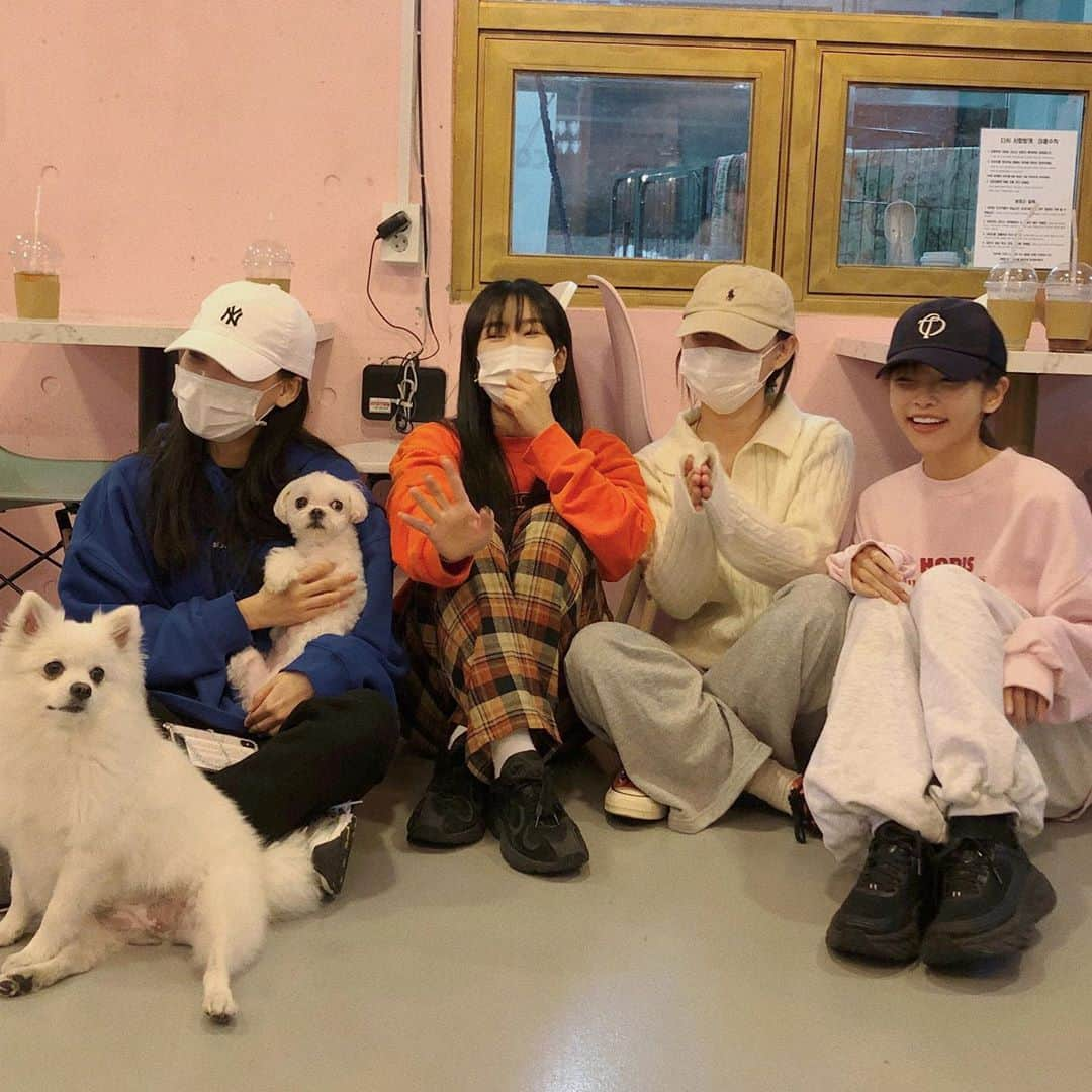 スアさんのインスタグラム写真 - (スアInstagram)「#오늘부터어성초 와 함께 유기견봉사 + 기부하고 왔어요 👀 중랑구에 위치한 유기견보호소인 다시사랑받개에 다녀왔습니당 🐶💕 가서 산책도 시키고 목욕도 시켜줬는데 너무 작고 귀여운 애기들 덕분에 오히려 우리가 힐링 받고 온 느낌 ..🤍 요로케 작고 귀여운 애기들을 버리는건 대체 무슨 생각으로 그러는건지 참 ,, 화가난다 증말 😂 오늘부터어성초에서 기부해주신 금액들은 애기들 필요용품을 구매하는데 사용된다고 합니다 🙏🏻 그리고 혹시 봉사하고 싶으신 분들, 기부하고 싶으신 분들 있으시면 @celeb_in 으로 문의 주시면 된다고 하니까 문의 많이많이 주세용 좋은 일은 함께 해요 우리 👀💕」10月22日 17時09分 - midoricoo