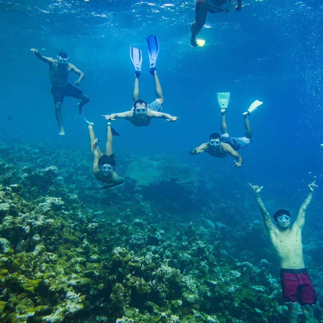 ガブリエル・メディーナさんのインスタグラム写真 - (ガブリエル・メディーナInstagram)「Blue world 💙 ll   Um mundo azul.」10月22日 17時14分 - gabrielmedina