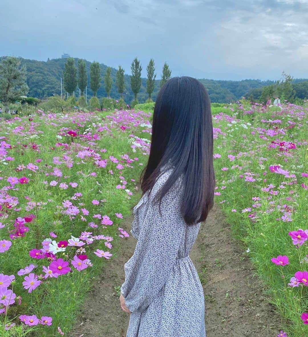 小越春花さんのインスタグラム写真 - (小越春花Instagram)「今回のメンバープロデュース生写真は国営越後丘陵公園に行ってきました！ぜひチェックしてみて！☺️  期間限定の赤バラソフト、初めて食べました！🍨🌹 青バラソフトは行った時いつも食べちゃいます😍💓  #越後丘陵公園 #コスモス #バラ」10月22日 17時56分 - haruka_2525_ngt48