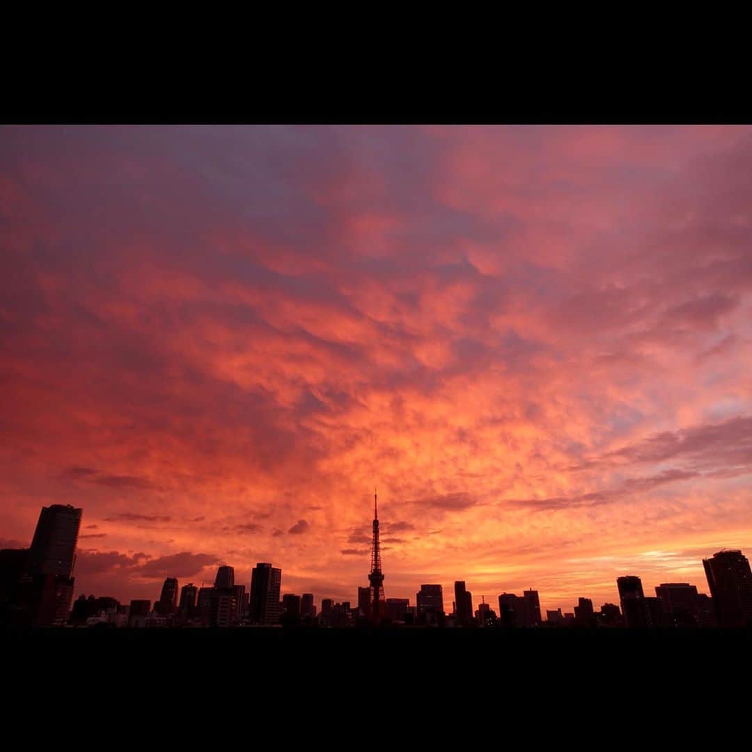 片岡信和のインスタグラム：「はぁ、すごいよ ・ #朝焼け #東京タワー #マジックアワー #空 #自然 #夜明け #japan #sky #tokyo #twilight #dawn」