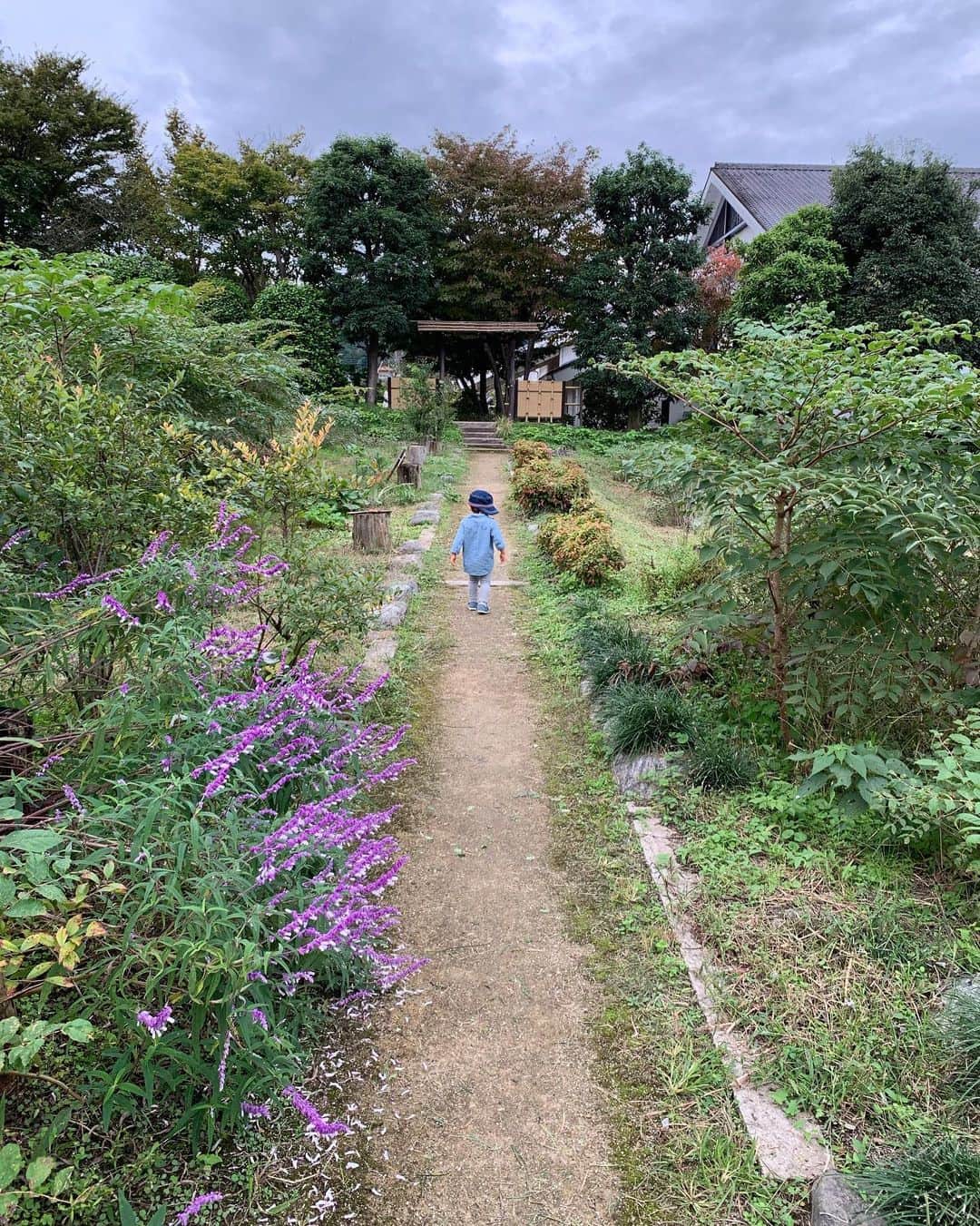 砂賀美希さんのインスタグラム写真 - (砂賀美希Instagram)「都内の我が家の近所で #自然食品 を取り扱う馴染みの店主が ここのお味噌と豆腐が1番オススメ！と太鼓判を押していたお店が 実家から車でなんと30分という😂👍 @yamakijozo   #有機大豆 を製造加工しているところで 我が家は味噌以外にお醤油も豆腐もこちらのものが多いです✨  3時頃に行ったので売切が多い中いただいた #お味噌汁 と #有機豆腐 #味噌ソフトクリーム がすごかった。 どれもお豆の雑味なくトロンと柔らかくて後からふわっと甘味。 いくらでも入ってしまいそうだった…😌 豆類は輸入物がほとんどなので #国産大豆 #有機 なことはかなり貴重かと。  #里帰り 中にまた来られるかなぁ…  お店の方ともお話しできて #有機認証 をとっていないものも同じラインで作っていることを知った ここでしか聞けない話。 販売していた #水 も美味しくて甘かった。  自然には抗えない、逆らってはいけない やっぱり水が全て。 シンガポールと香港にいたときに強く感じていたこと…  山あいの長閑な自然の中で心身共にデトックスさせてもらいました☺️ ・ ・ #オーガニック #特別栽培  #工場見学  #ビーガン #ビーガンスイーツ #グルテンフリー生活 #おすすめカフェ #妊娠後期 #マタニティ #ママリ #ママモデル #子育てぐらむ #臨月 #甘酒  #飲む点滴 #お守り #ヤマキ醸造 #発酵食品 #腸活 #菌活」10月22日 9時22分 - kimiganasu